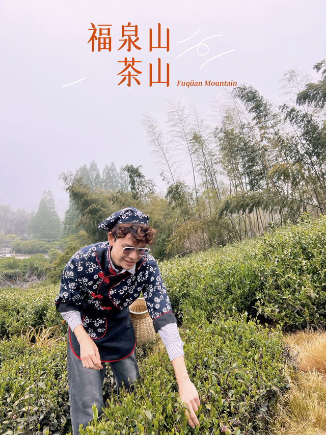 🍃 วันนี้เรามา “เก็บชา” กันที่ 福泉山茶山