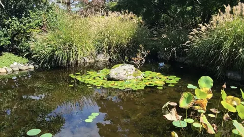 Norfolk Botanical Garden — traveler post in 노퍽
