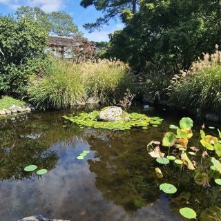 Norfolk Botanical Garden