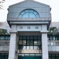 🎓 Hunan University — The Romance of Red Bricks and Sunshine 🌤