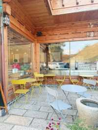 ๊ฒฝ์ฃผ ์ฌํ์ ์ด๊ณณ ์ถ์ฒ๋๋ ค์!!๐๐๐