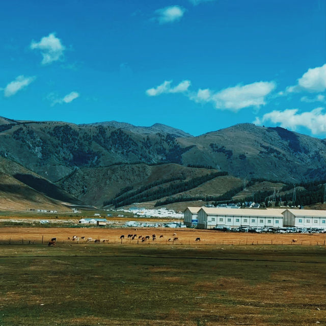 สวยมาก อุทยานแห่งชาติคานาส สวยมาก อุทยานแห่งชาติคานาส