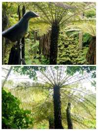 ニュージーランドのシンボルを探して