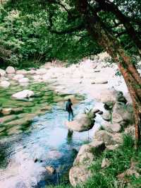 陽光泳池蔭蔽椰樹打卡指南📸