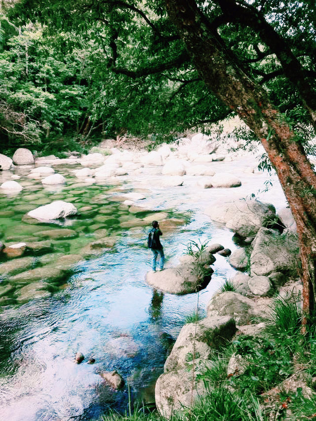 陽光泳池蔭蔽椰樹打卡指南📸