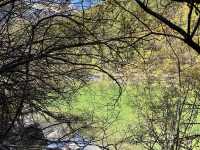 Đạo Thành Á Đinh Tháng 10 - 10月的稻城亚丁