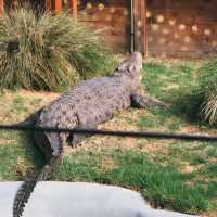 เที่ยว Butterfly Creek มุมธรรมชาติในโอ๊คแลนด์