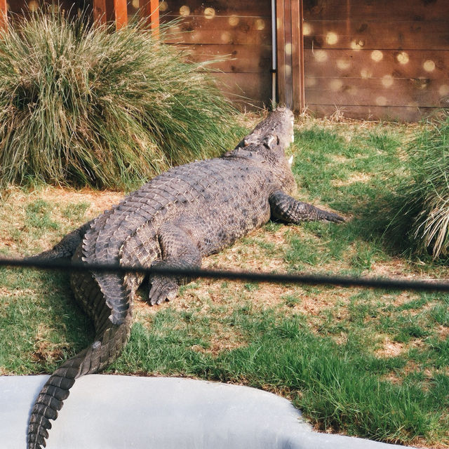 เที่ยว Butterfly Creek มุมธรรมชาติในโอ๊คแลนด์ เที่ยว Butterfly Creek มุมธรรมชาติในโอ๊คแลนด์
