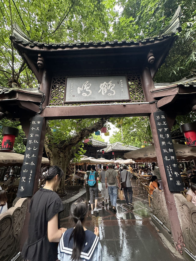 8 Days in Chengdu