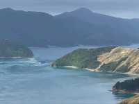 Where Ocean Power Shapes a Stunning Coastal Escape