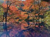 🍁 嵐山深處的秋日詩篇:夢幻祐斎亭遊記