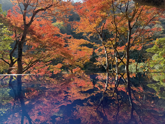 🍁 嵐山深處的秋日詩篇:夢幻祐斎亭遊記 🍁 嵐山深處的秋日詩篇:夢幻祐斎亭遊記