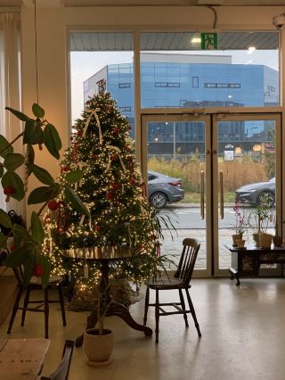 Подготовка к Рождеству в растительном кафе в Наджу.