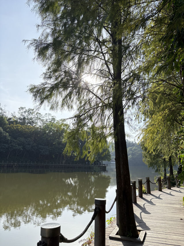 山丘環抱下的寧靜寺廟  