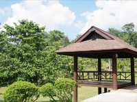 Picnic Amidst Nature at Wetland Putrajaya