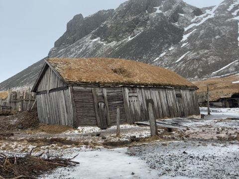 2026 the Viking Cafe | ホプンレストランの観光ガイドと旅行体験