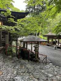 🇯🇵京都貴船流水麵🍜