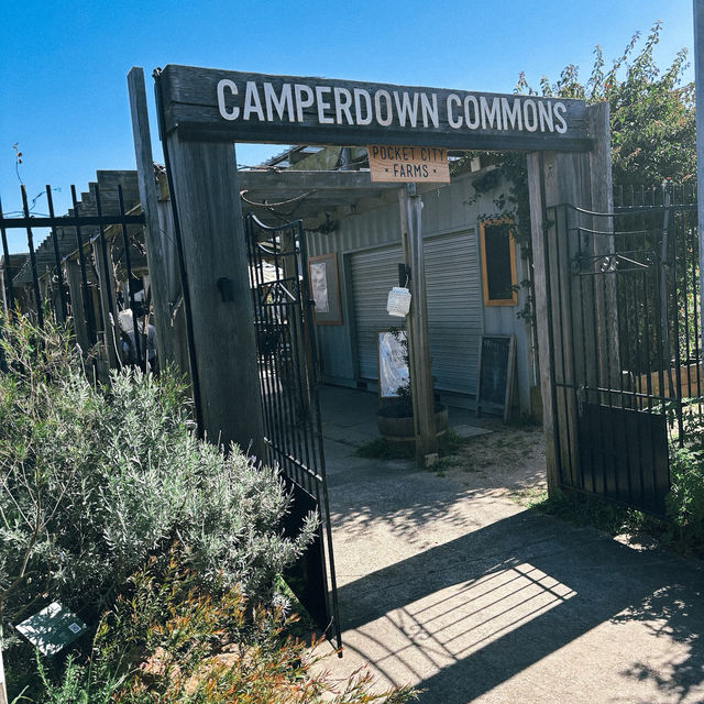 Camperdown Commons: ฟีลบ้านสวนกลางเมืองที่ต้องมา Camperdown Commons: ฟีลบ้านสวนกลางเมืองที่ต้องมา