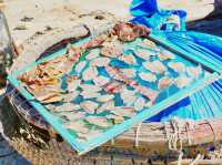 越南🇻🇳美奈漁村