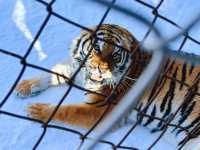 Dreamy Winter Views in Changbai ⛰️♥️