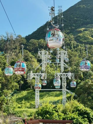 ☀️冒險與守護的奇幻之道：穿梭香港海洋公園 🌊