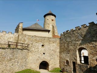 Mist & Stone Above the Forest