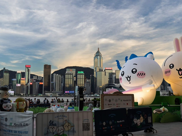 Steamed Buns and Giant Friends: Chiikawa’s Summer Sojourn in Hong Kong 