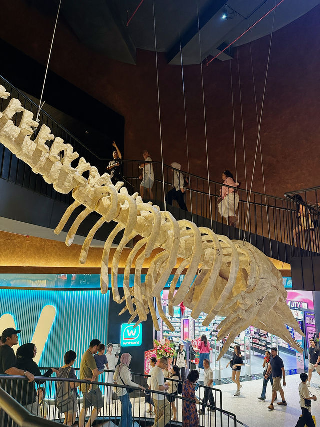 The Ultimate 24-Hour Library Vibes at BookXcess Sunway Square 📚✨