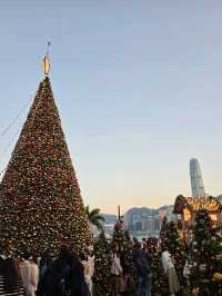 維港日落剪影絕美打卡地📸 西九文化區