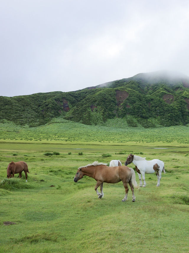 大自然満喫!春から秋にオススメの阿蘇の絶景スポット