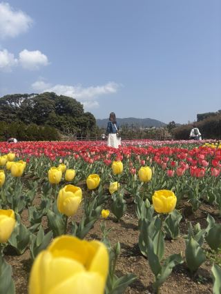 \ 각지에서 분위기가 쌓인/GREEN EXPO2027