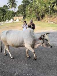 SEKINCHAN-MALAYSIA DURING JULY