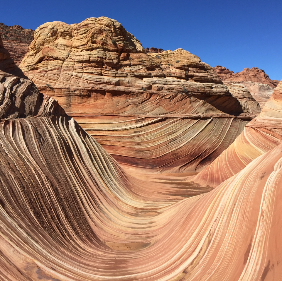 【美國 攻略 2026】Coconino County Trip.com 精選 — 港人實用指南 Coconino County - Nature's Wave in Arizona. - 圖 1