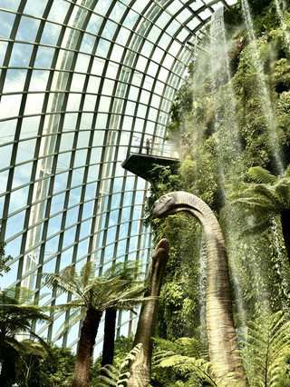 走訪新加坡濱海灣花園「雲霧林」超震撼侏羅紀造景！高質沉浸式體驗：冷氣夠凍的隱藏版避暑好去處。