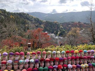 Sakura City's Hidden Gem: Hase-dera Temple Escape Near Nara 🍁🍁。