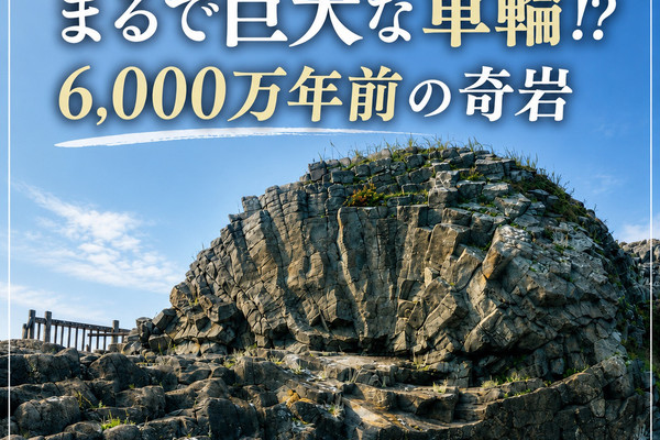 北海道・根室】まるで巨大な車輪！？約6,000万年前にできた天然記念物