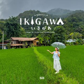 "Ikigawa Home" ที่พักวิวทุ่งนาติดลำธารล่อเกลือน่าน