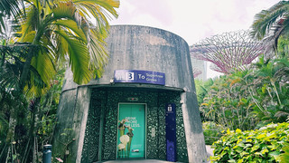 Easy Travel Guide to Supertree Grove Singapore – How to Get There Without the Hassle