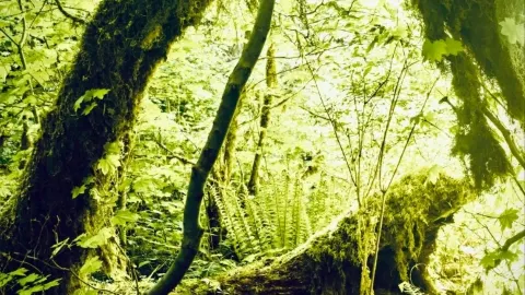 高斯塔峰懸崖與青苔全景:西福爾1,883米觀景台easytravelpost — traveler post in 泰勒馬克郡
