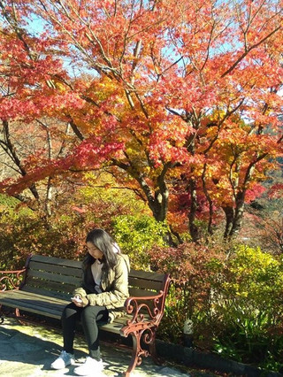 日本で一番早い紅葉を見に、北海道へ行こう！
