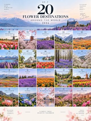 20 Stunning Flower Viewing Spots Worldwide 2026