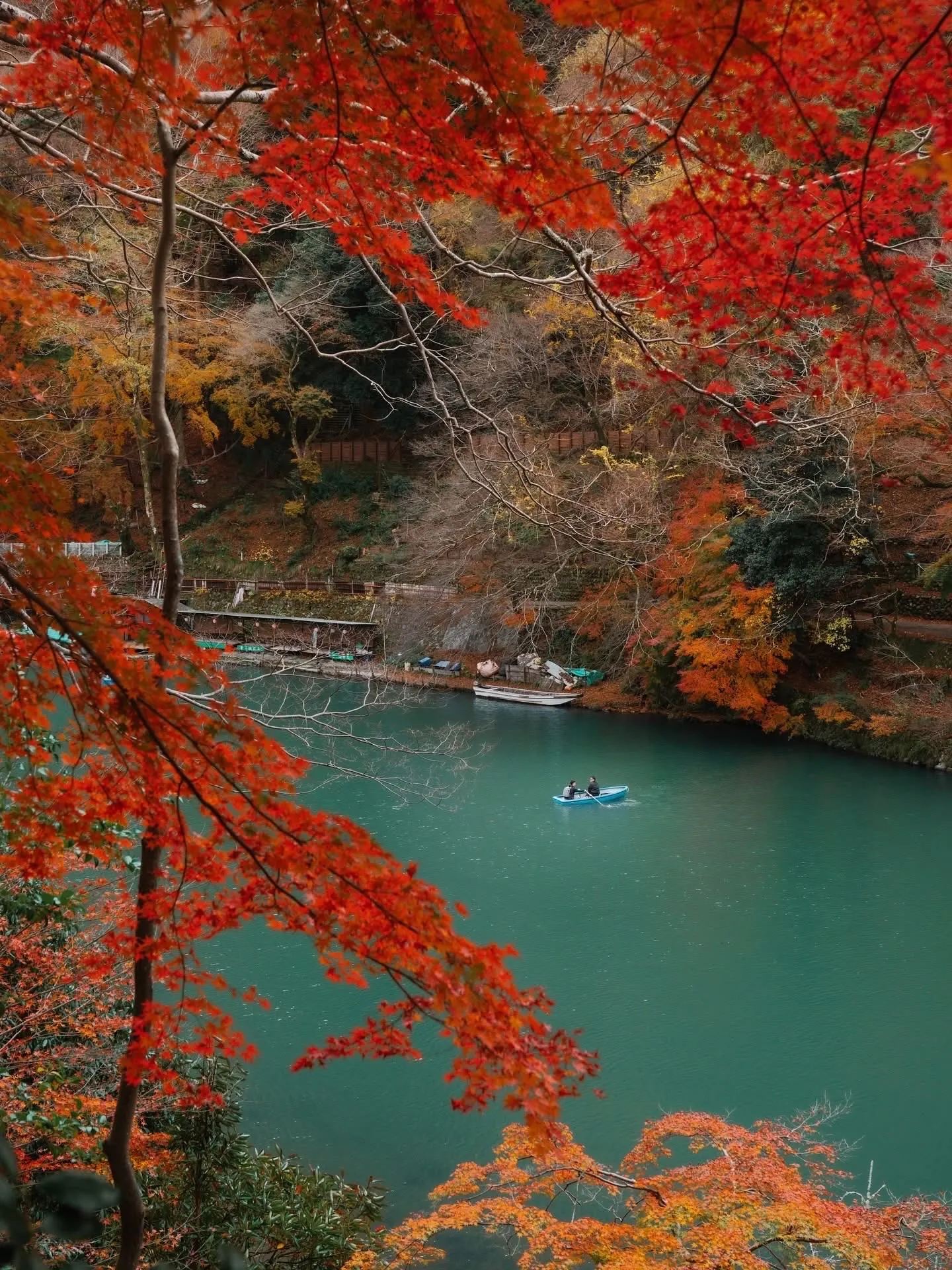 【日本賞楓】京都 vs 奈良：關西紅葉季的兩種極致體驗