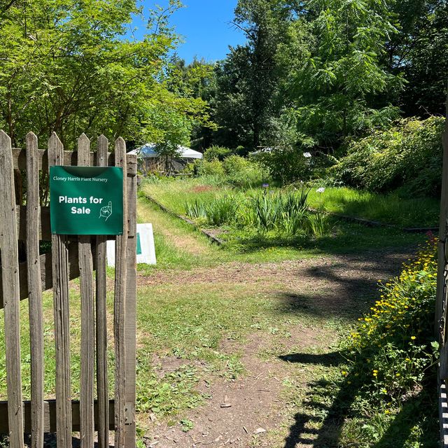 Washington Park Arboretum