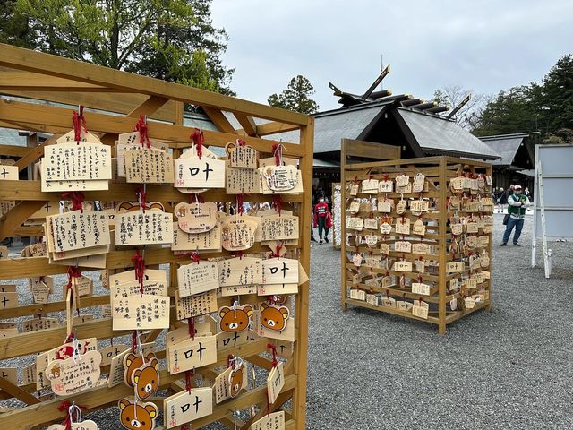 Make a wish at Hokkaido-Jingu