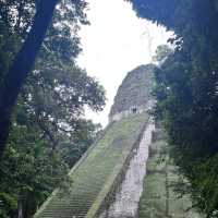 A memorable Mayan civilization and jungle experience at Tikal @ Guatemala 