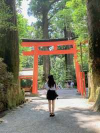 【箱根のパワースポット】フォトスポットとしで大人気の神社⛩️
