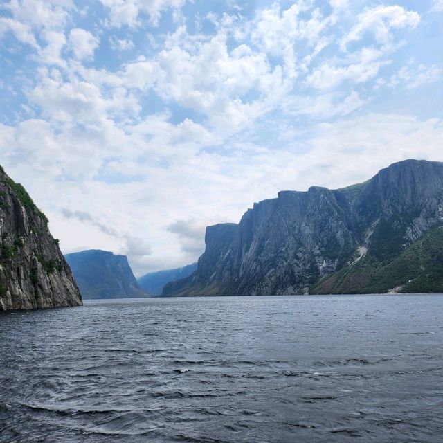 Fjords Magic