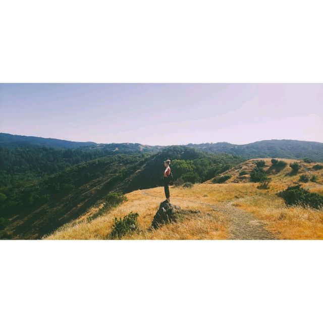 San Francisco has some beautiful nature around it!