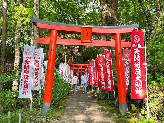 【福岡太宰府天滿宮】意外驚喜之旅
