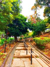 Yokohama Zoological Gardens - Free entrance!